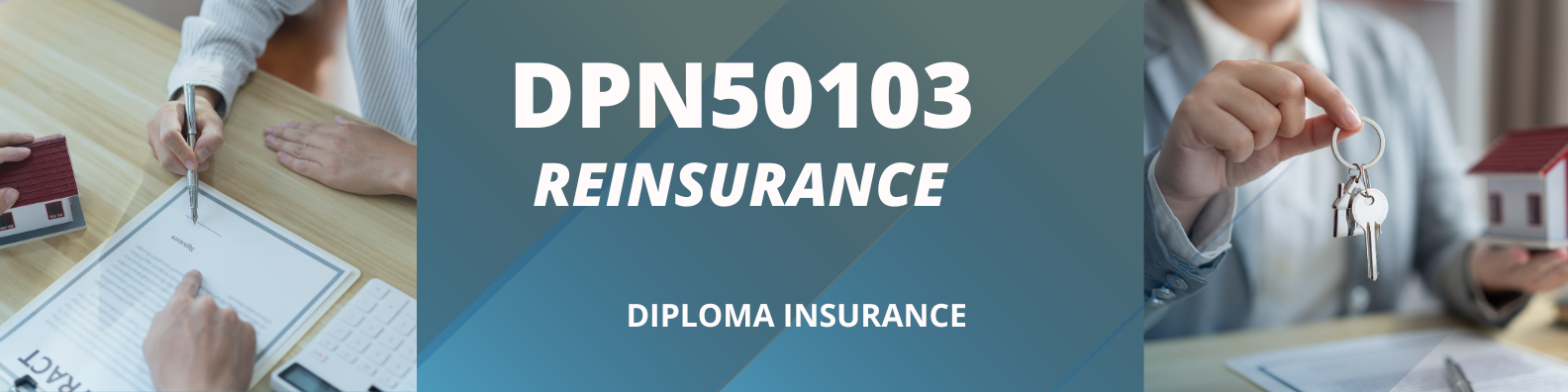 DPN50103 REINSURANCE