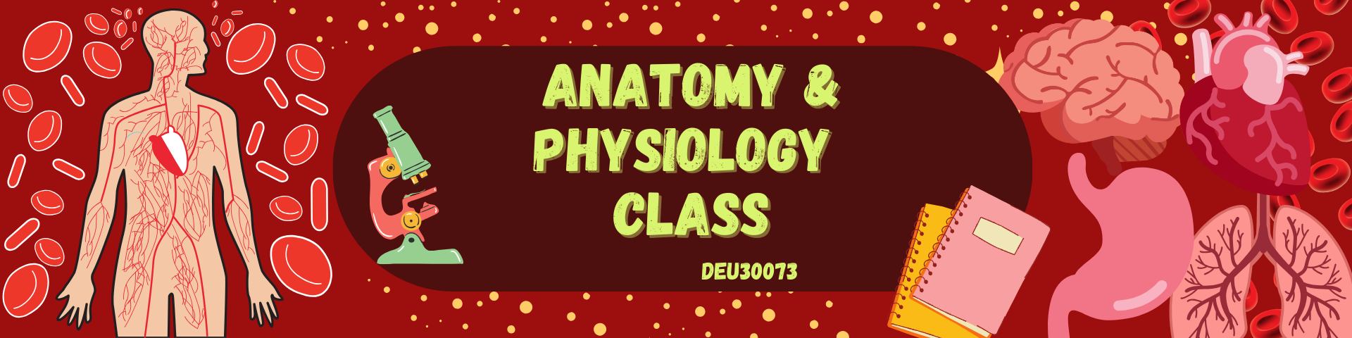 DEU30073 ANATOMY AND PHYSIOLOGY IN ENGINEERING