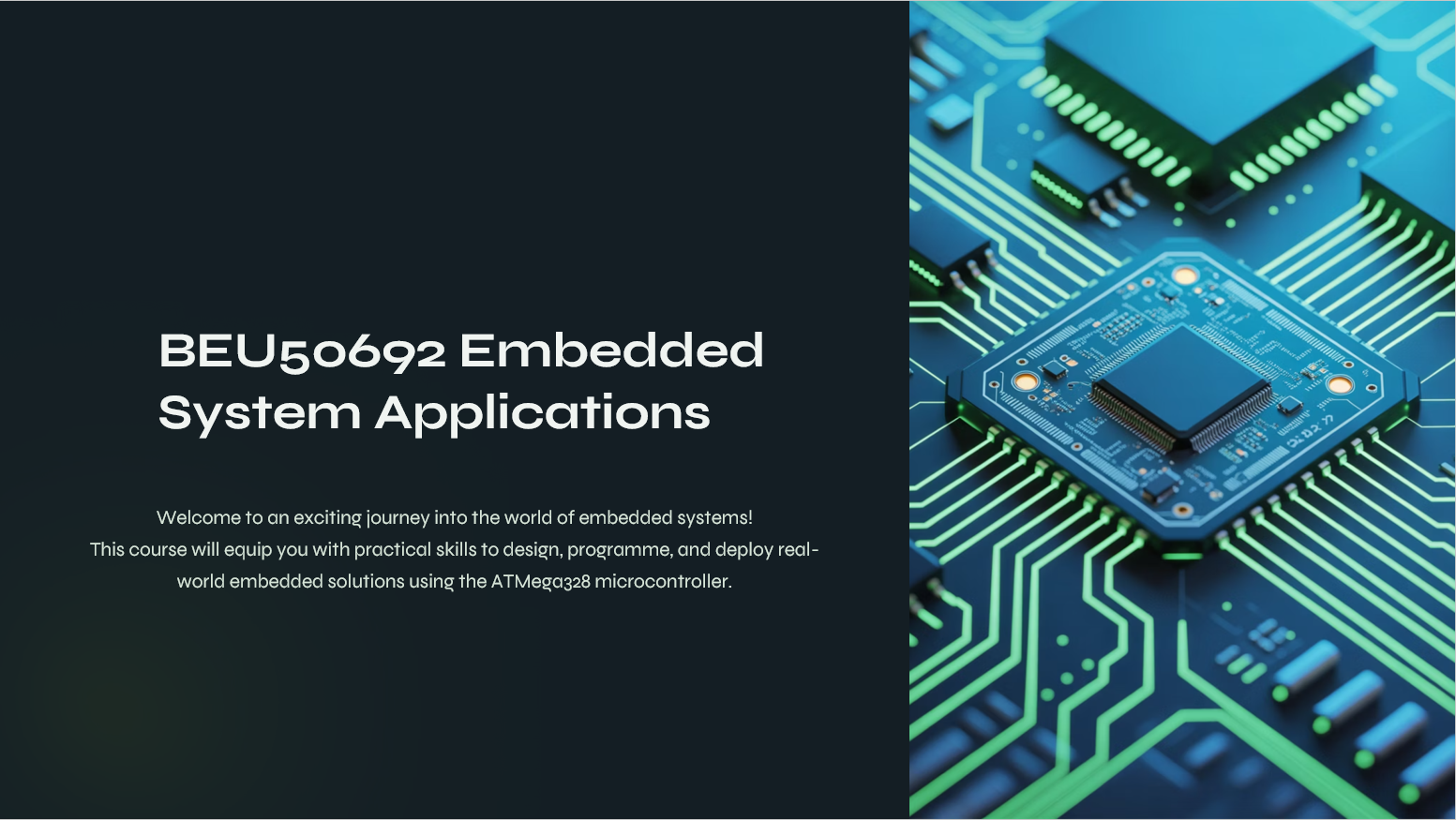BEU50692 EMBEDDED SYSTEM APPLICATION