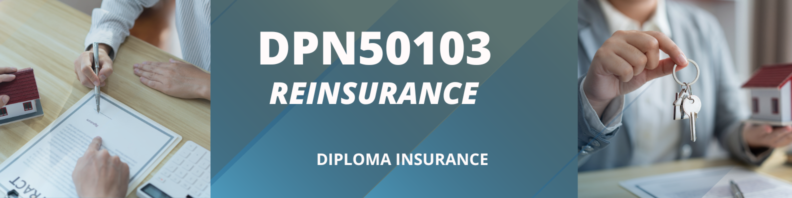 DPN50103 REINSURANCE 